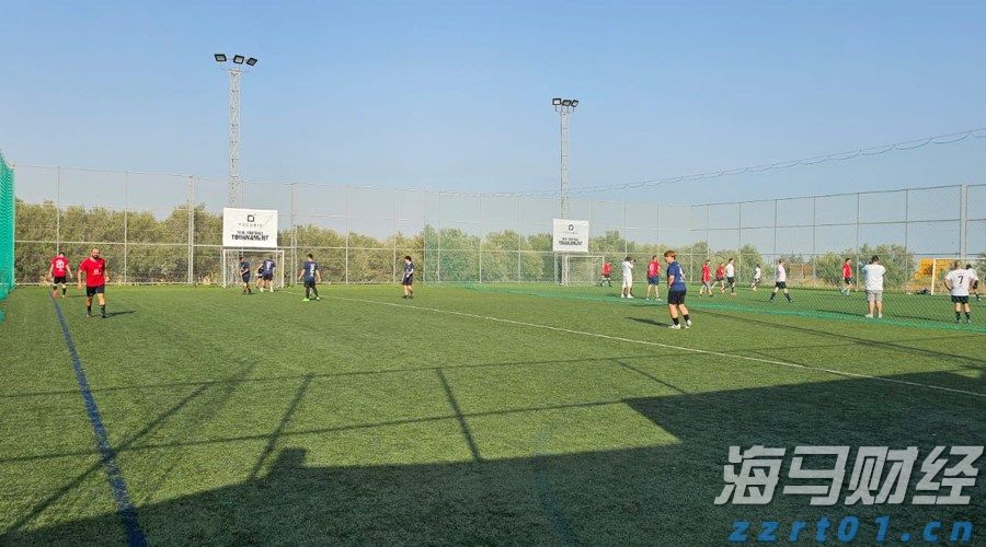湛江钢铁零碳项目两大核心设备成功吊装就位
