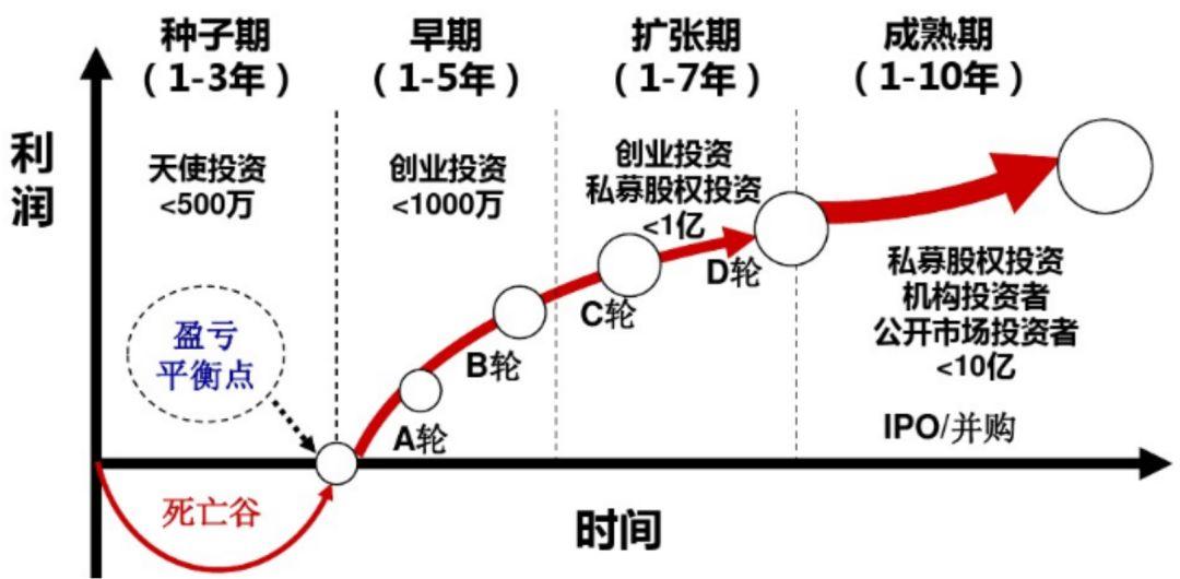 “稀客”紫背椋鸟到访福建